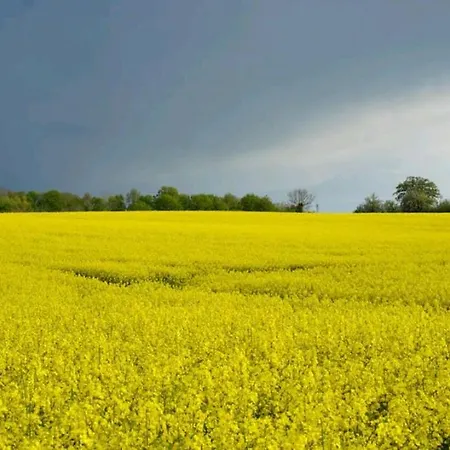 Apartmán Miesmuschelparadies