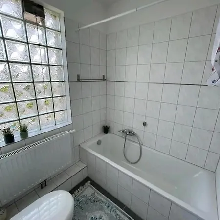 Miesmuschelparadies *