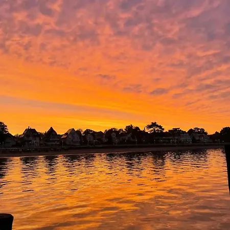 Miesmuschelparadies Lübeck