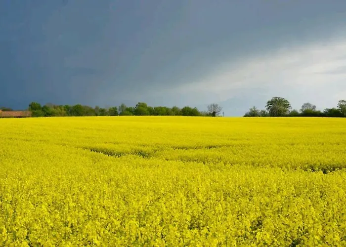 아파트 Miesmuschelparadies